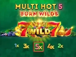 มัลติ ฮอต 5 เบิร์น ไวลด์ส game thumbnail